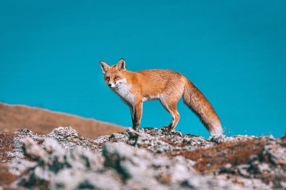 Photograph by Анастасия Сахаревич