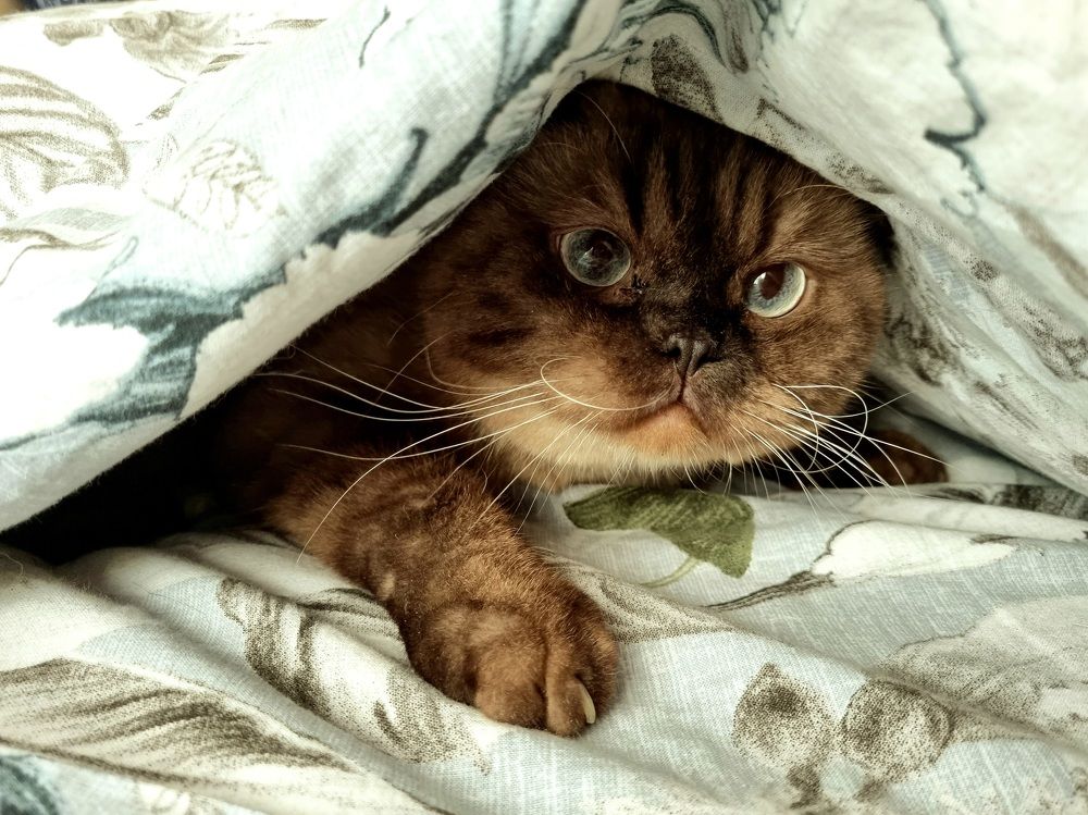 Photograph by Любовь Прохода