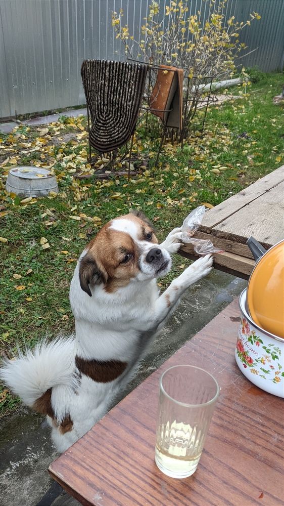 Фотография автора Васильева Ирина