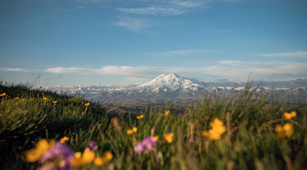 Photograph by Екатерина