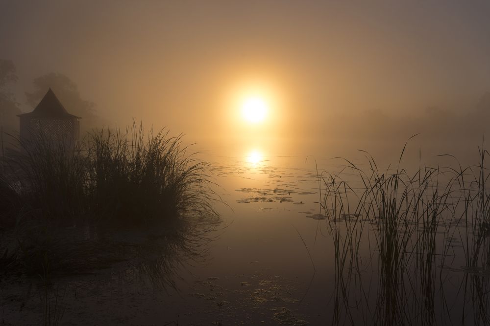 Рассвет в тумане