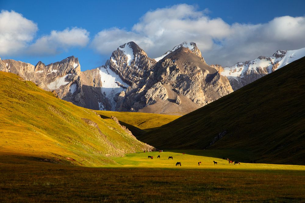 Аксайская пастораль