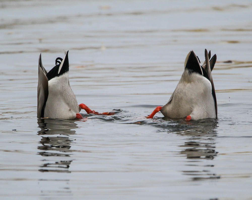 Photograph by Марина