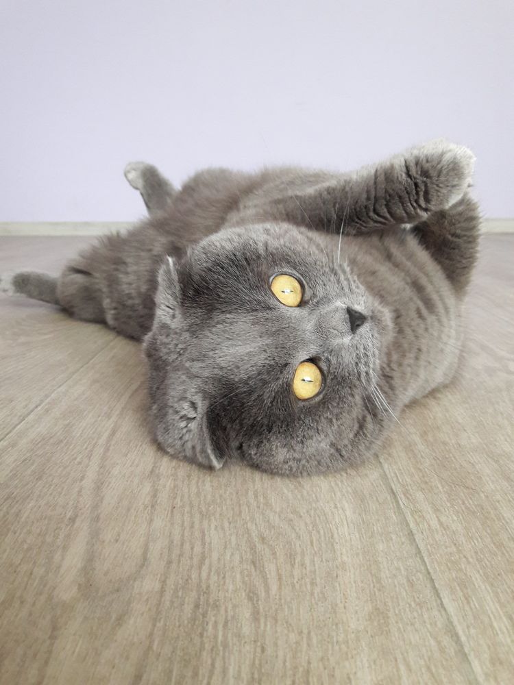 Photograph by Ольга Стафутина