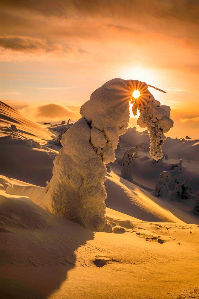 Snow Monsters of Kandalaksha