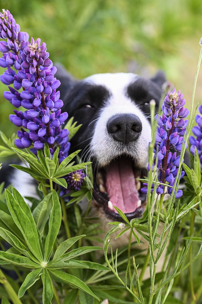 Фотография автора Людмила Капустина