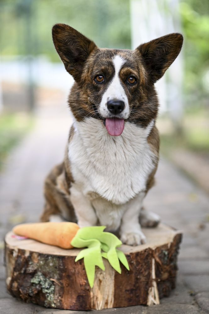 Фотография автора Людмила Капустина