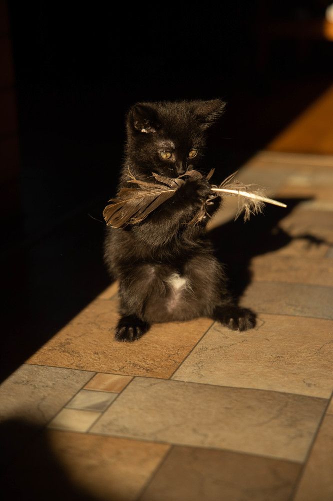 Photograph by Ольга Крестьянинова