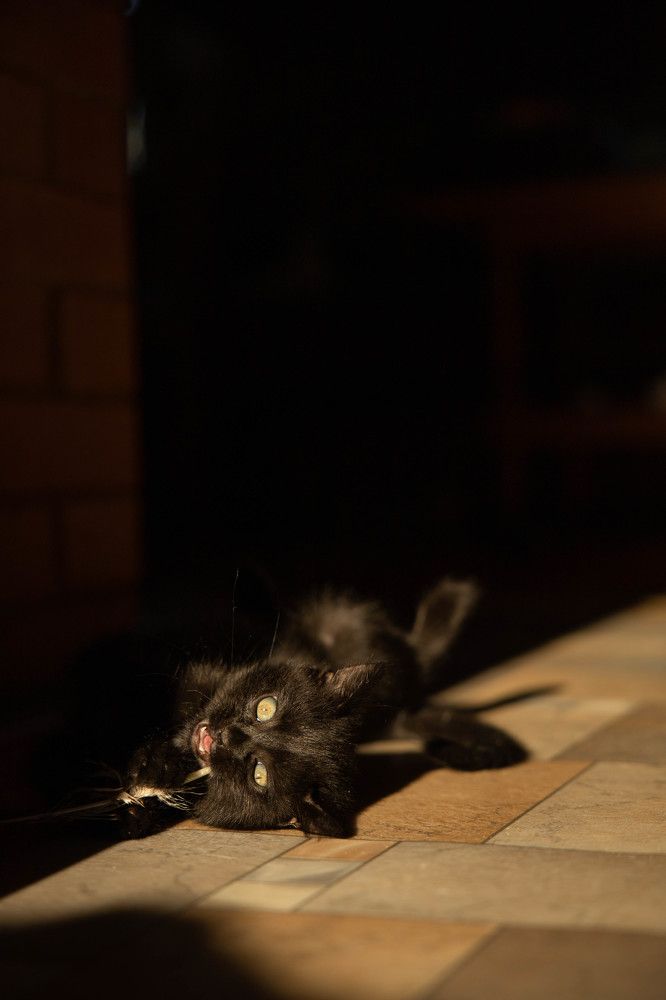 Photograph by Ольга Крестьянинова