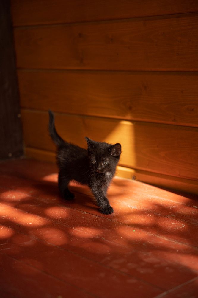 Photograph by Ольга Крестьянинова