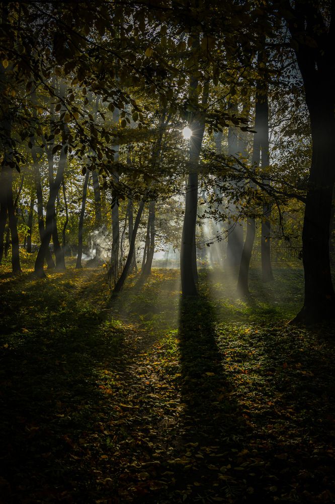 Photograph by Денчук Наталья