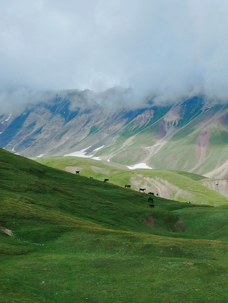 Горные дали