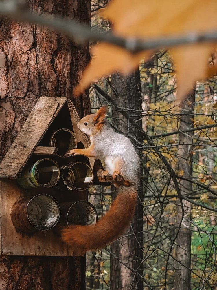 Photograph by Елена Ямнюк