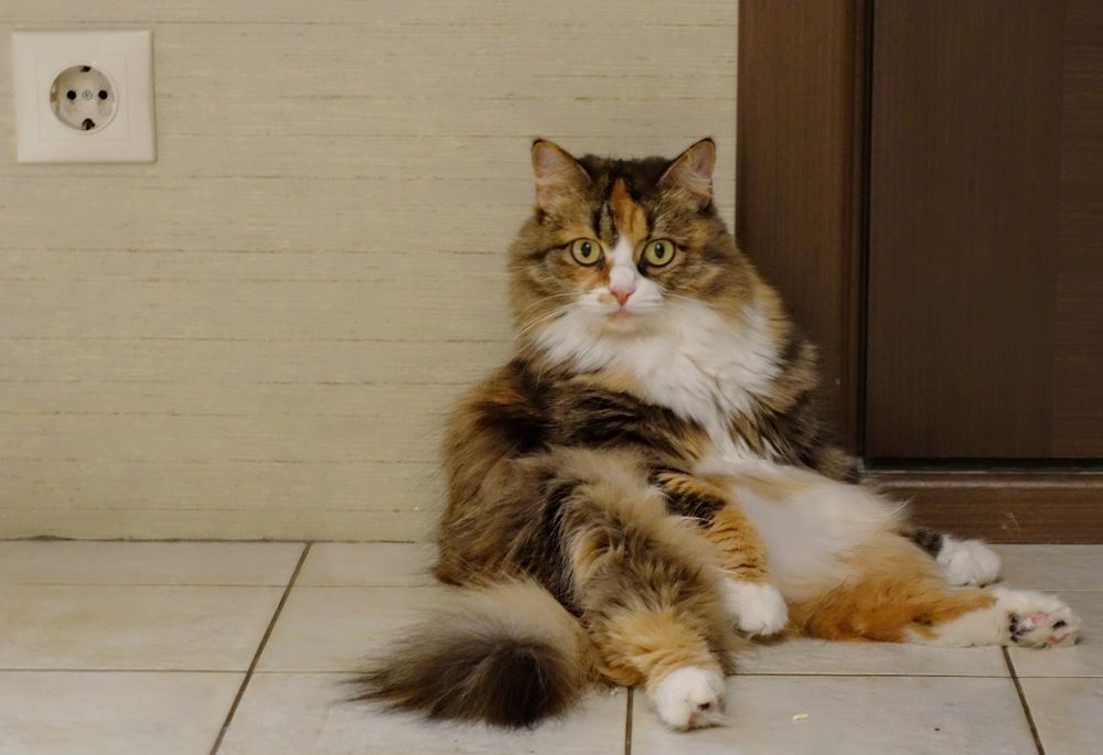 Photograph by Сергей Гребенников