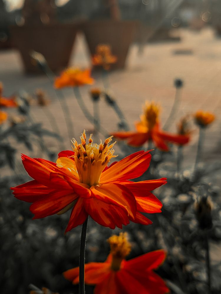 Photograph by Faizan Faizanshahid