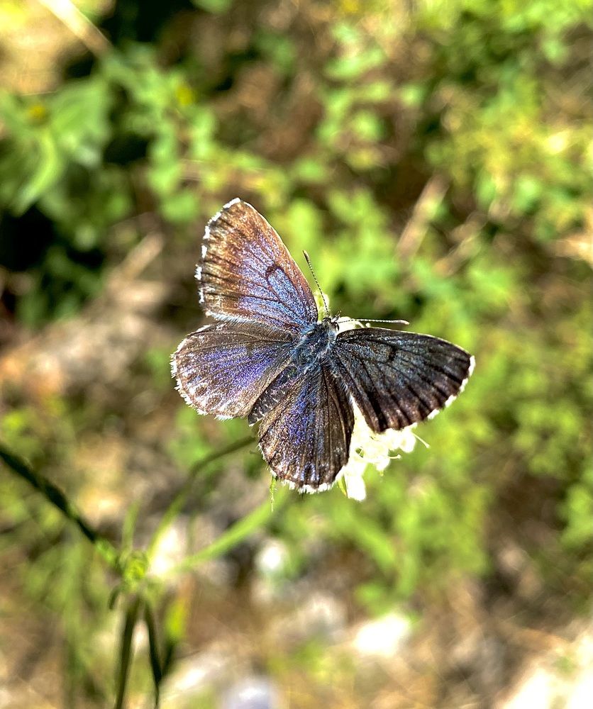 Photograph by Catalina Sirbu