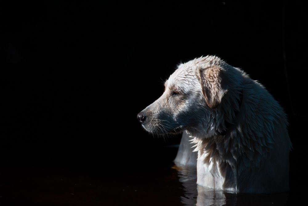 Photograph by Андрей Трякин