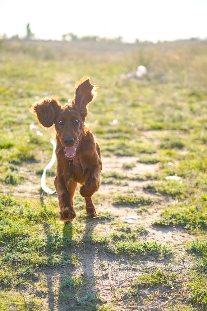 Photograph by Наталья Коржова