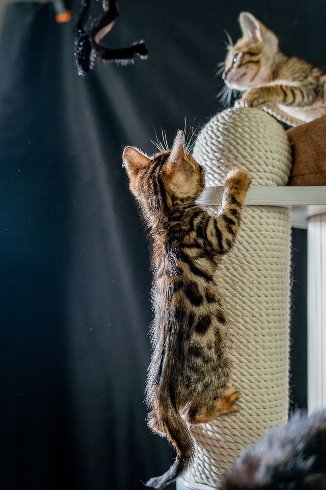 Photograph by Наталья Коржова