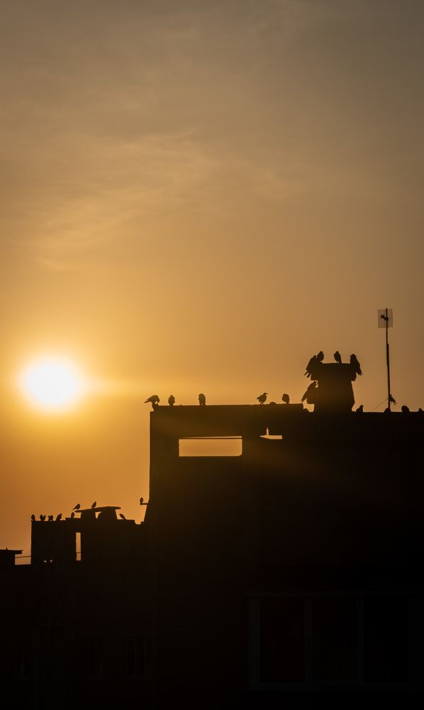 Фотография автора Геннадий Ломеко