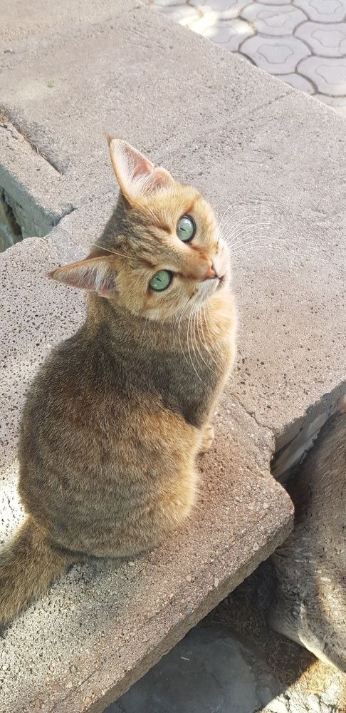 Фотография автора Ольга Мусина