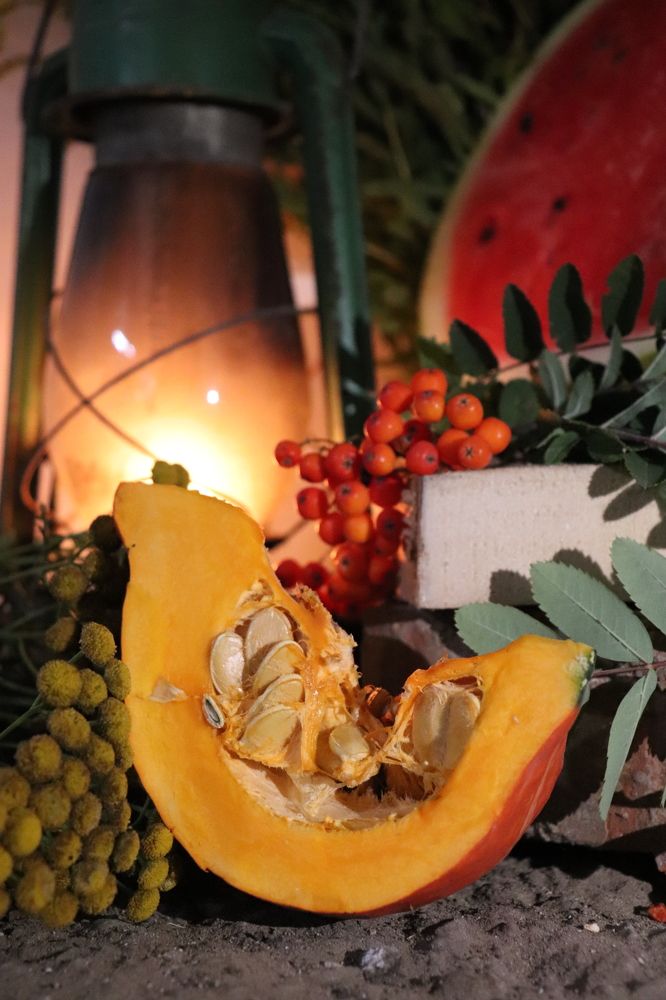 Photograph by Анастасия