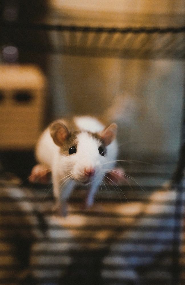 Photograph by Анна Якименко