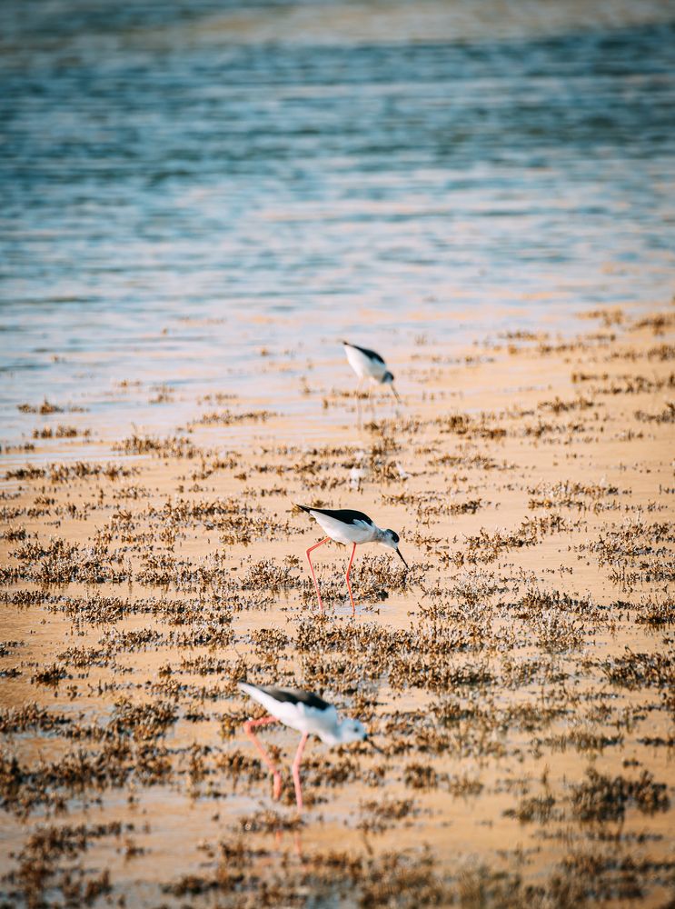 Photograph by Mostafa Bahnasy