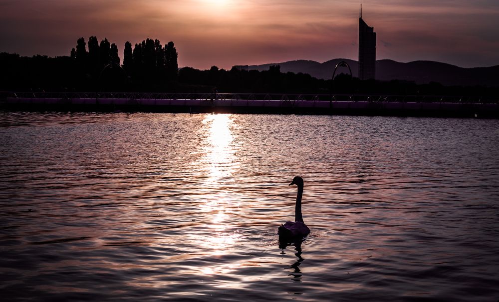 Photograph by Vasily Prokhorov