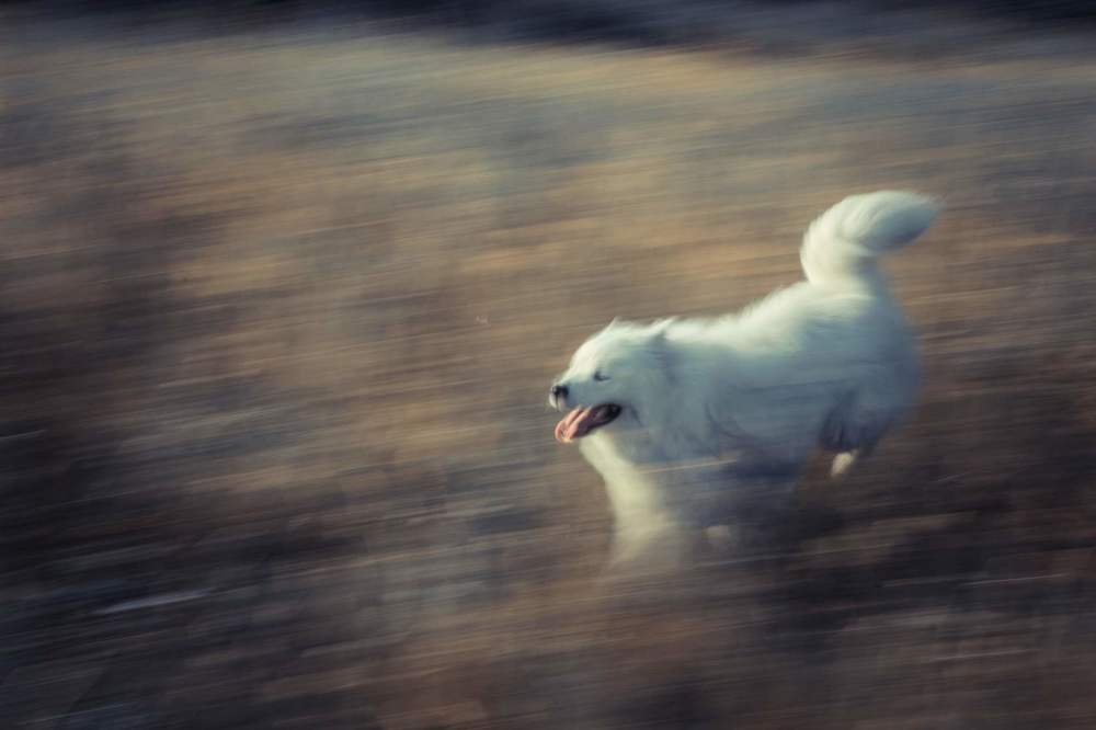 Photograph by Елена