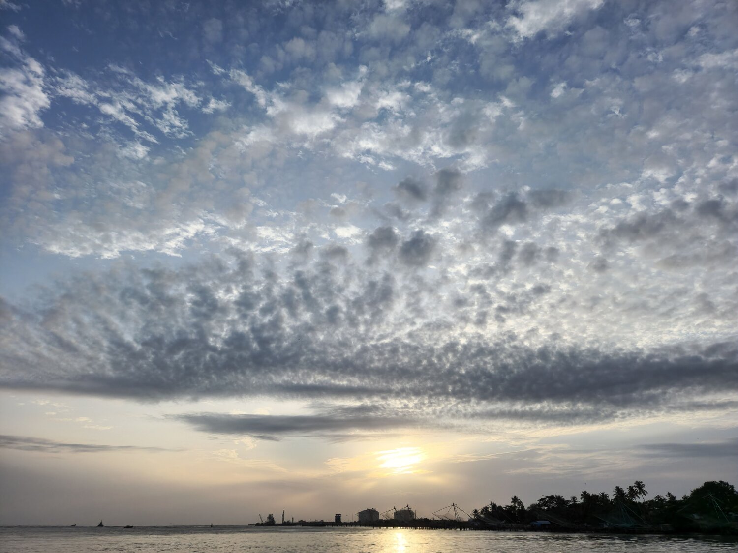 Photo #9818746