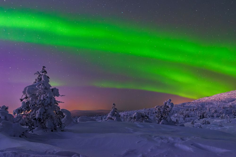 Фотография автора Мика Петров