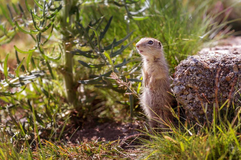 Photograph by Nataliya Nazarova