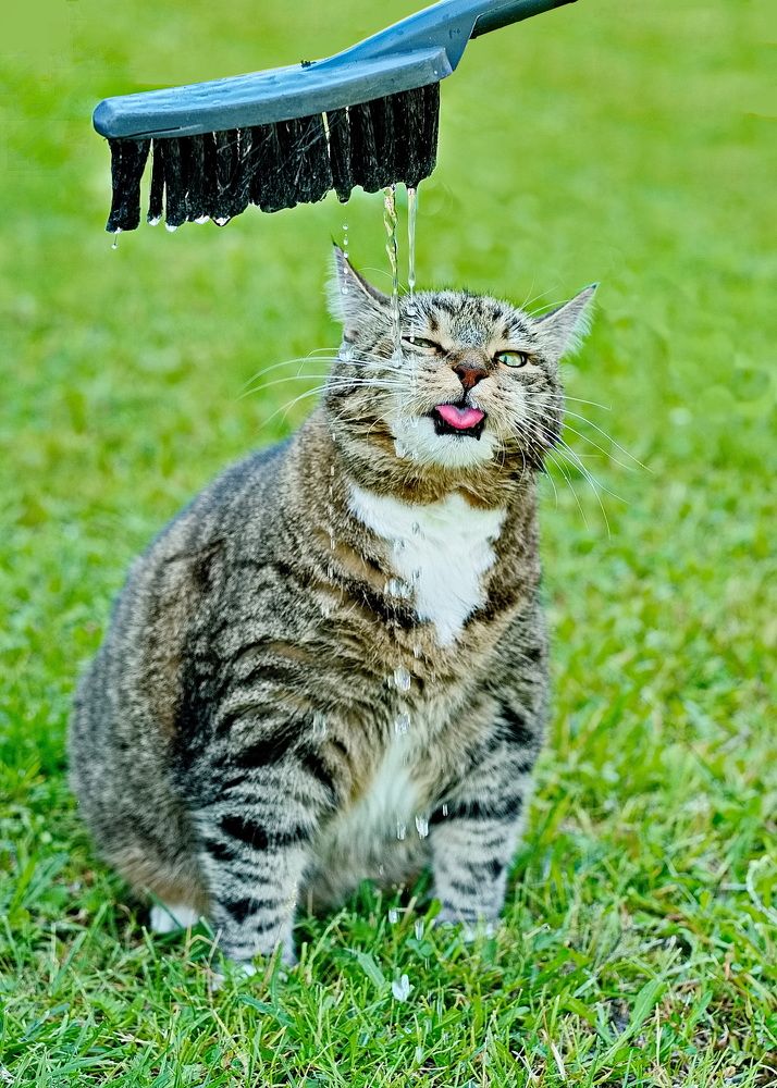 Photograph by Лидия Ушакова