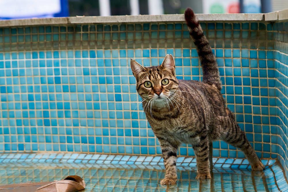 Photograph by Дмитрий Солодухин