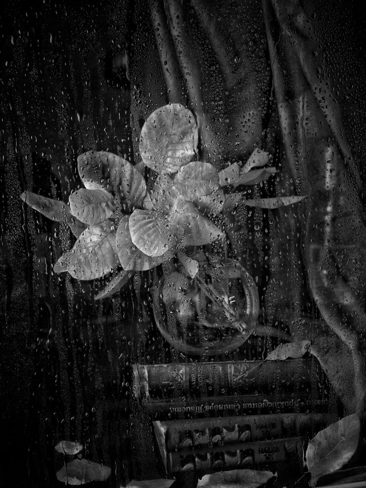 Photograph by Сергей Пермин