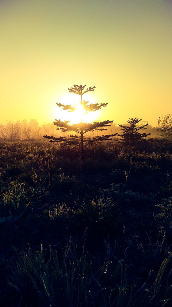 Photograph by Артур Эльдарион