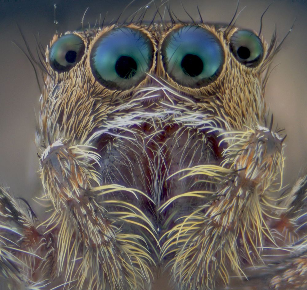 Photograph by NGUYEN TRONG QUYET