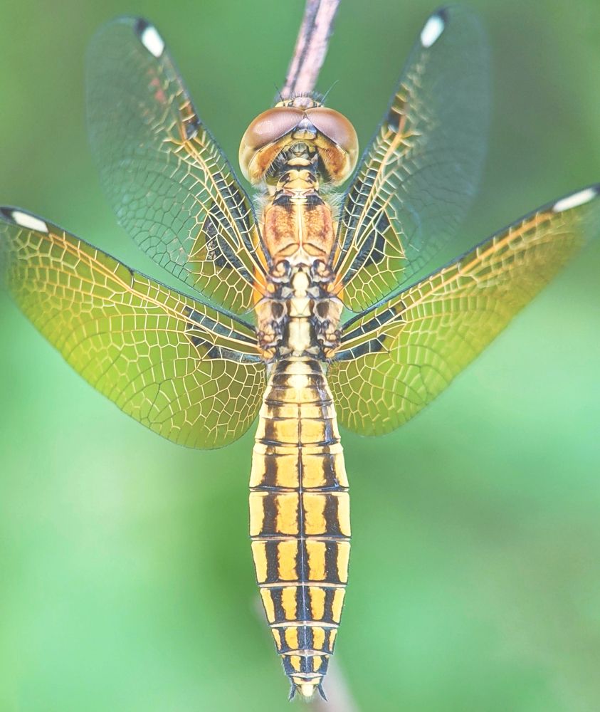 Photograph by NGUYEN TRONG QUYET