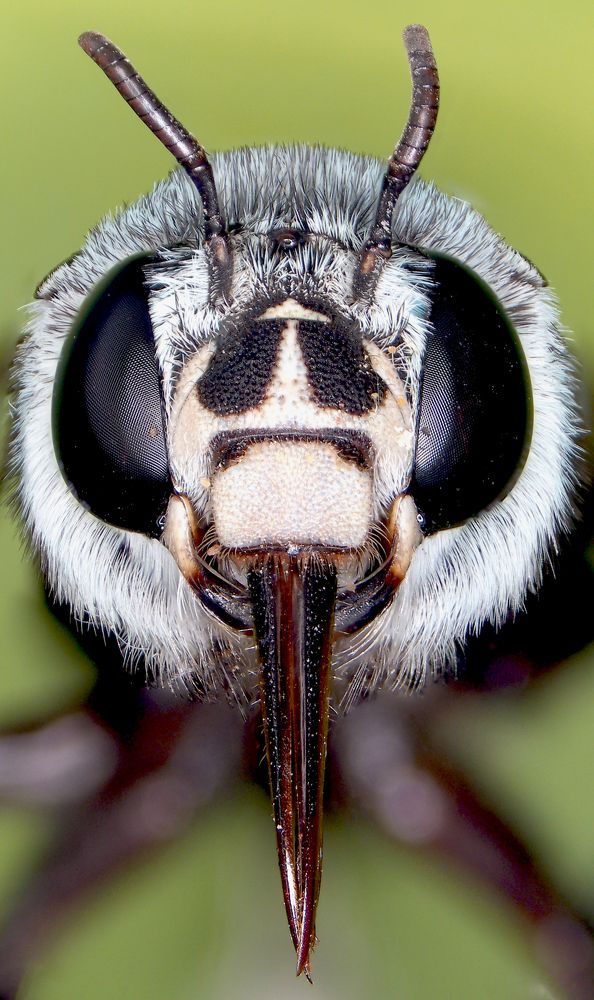 Photograph by NGUYEN TRONG QUYET