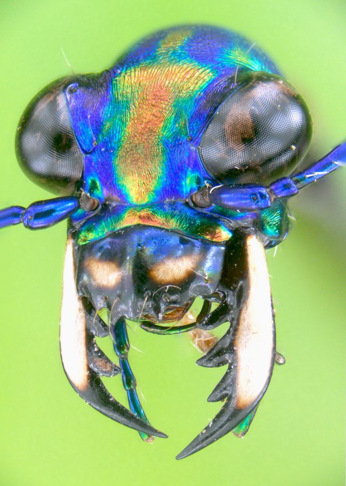 Photograph by NGUYEN TRONG QUYET