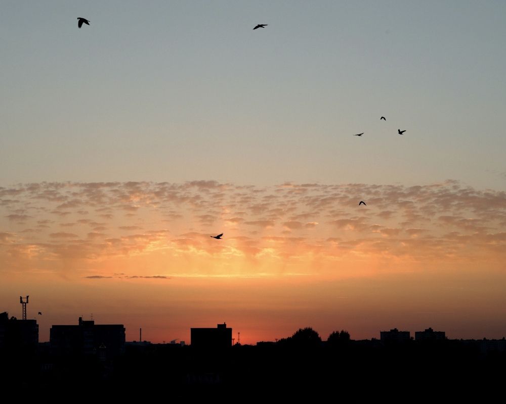 Фотография автора Ирина Мосько