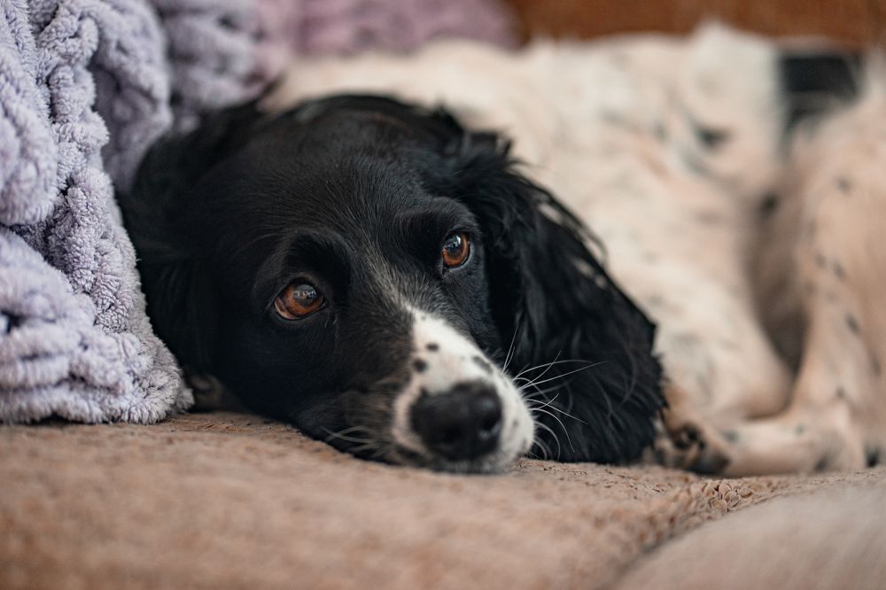 Photograph by Людмила Панюхина