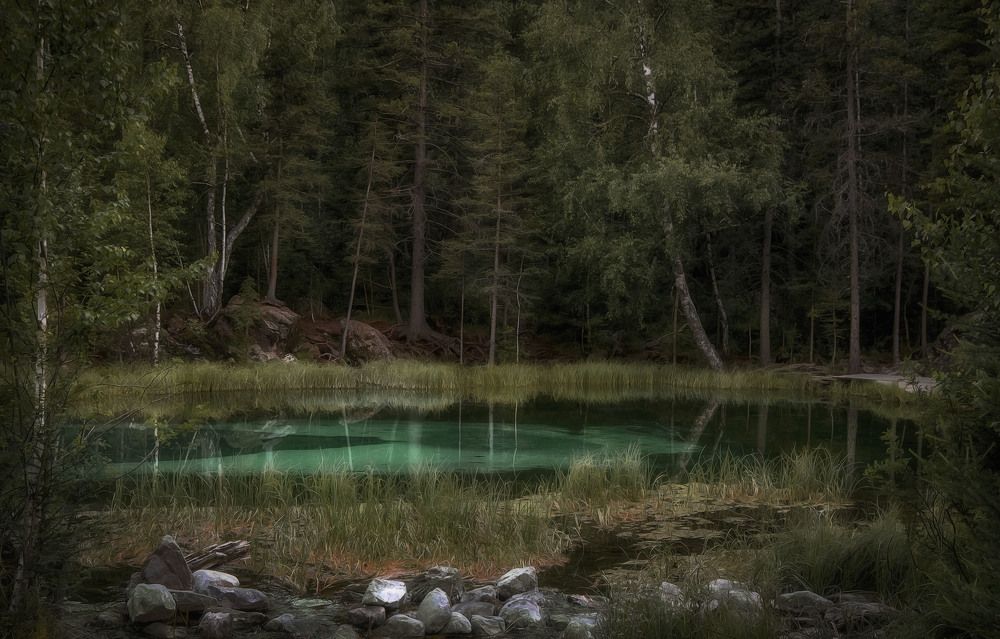 Photograph by Юлия Лушникова