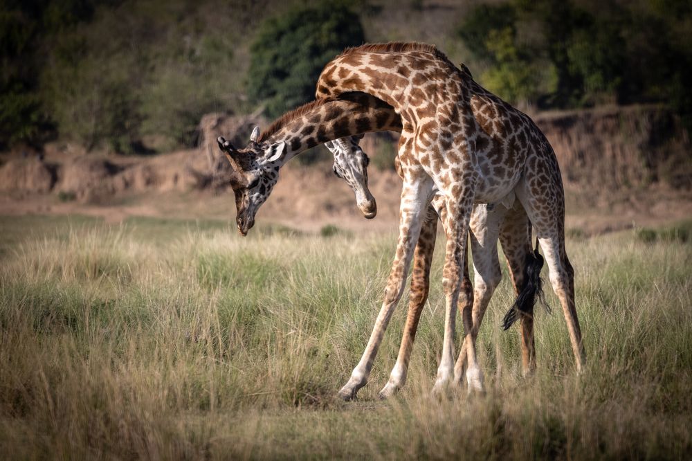 Photograph by Bevzenko Roman