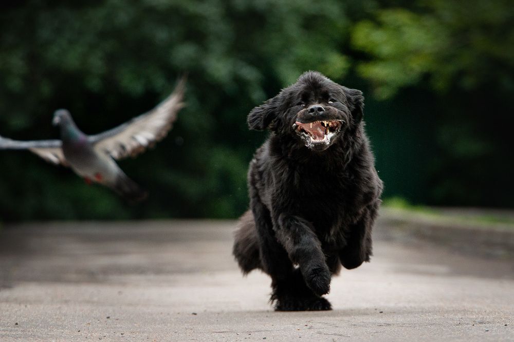 Photograph by Maria Komratova