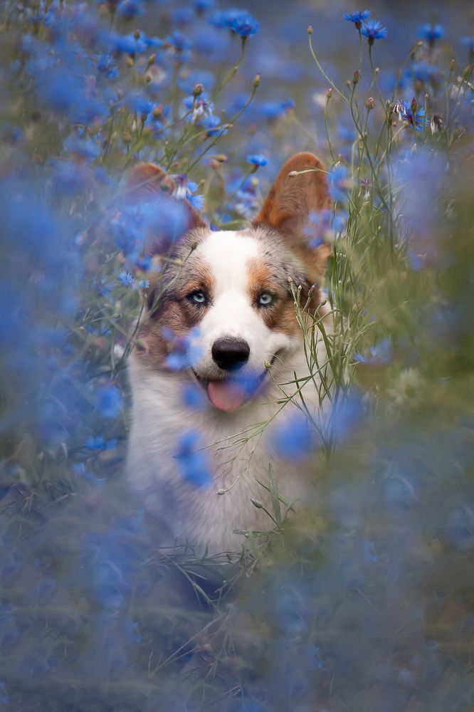 Photograph by Maria Komratova