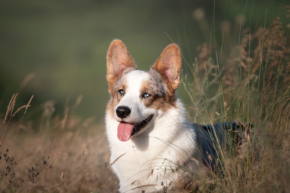 Photograph by Maria Komratova