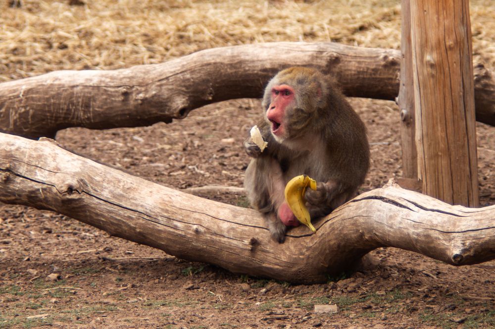 Photograph by Stanislav Shelby