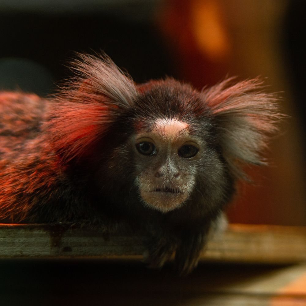 Photograph by Stanislav Shelby